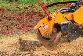 Best Storm Damage Tree Cleanup  in New Providence, NJ