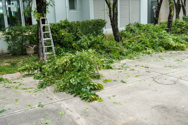 Best Arborist Consultation Services  in New Providence, NJ
