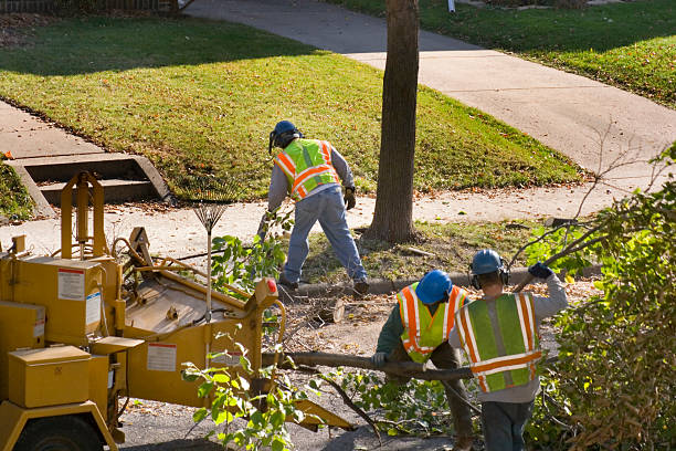Best Seasonal Cleanup (Spring/Fall)  in New Providence, NJ